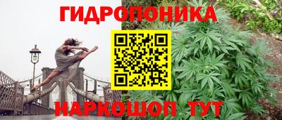 дмт Моздок