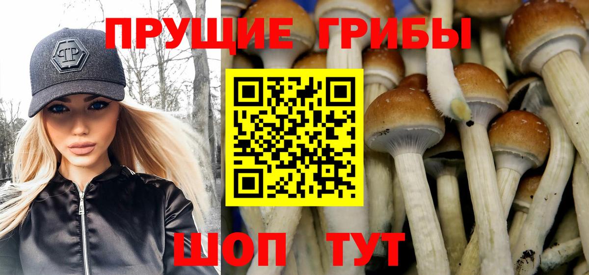 Ялуторовск  Псилоцибиновые грибы GOLDEN TEACHER  Вход с VPN  Галлюциногенные грибы мухоморы 